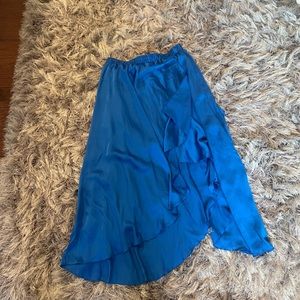 NWOT Gorgeous Silk Skirt